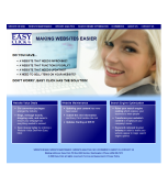 seattle custom website design example 1