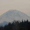Rainier Website Package